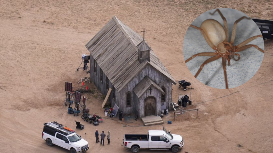¿Rodaje maldito?; araña venenosa muerde a trabajador de la película Rust