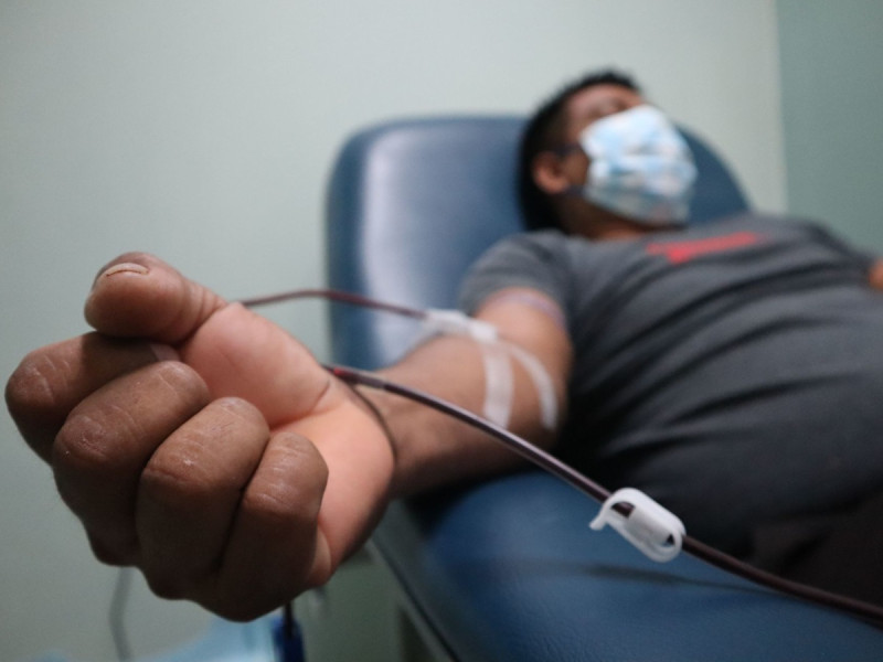 En México la donación altruista de sangre no supera el 5 por ciento