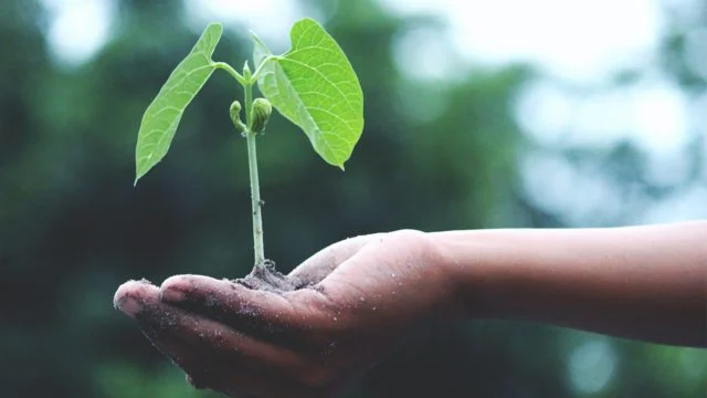 Crean fondo de pérdidas y daños climáticos en el primer día de la COP28