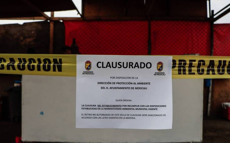 Recaudan 1.5 mdp en multas ambientales