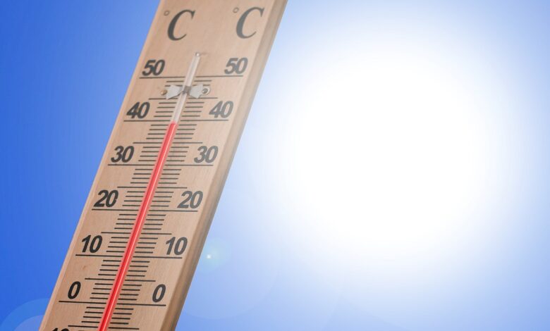 Segunda Onda de Calor. Estados con temperaturas de más de 45 grados