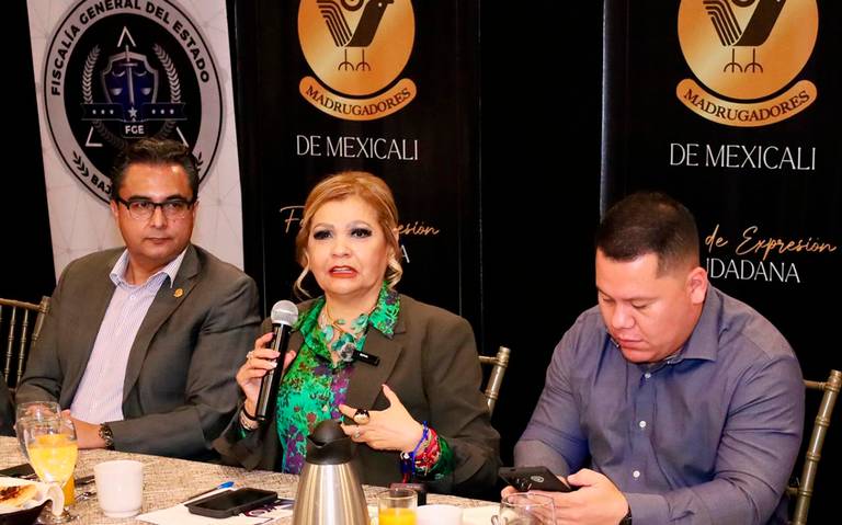 Detectan cámaras de videovigilancia ilegal en Baja California