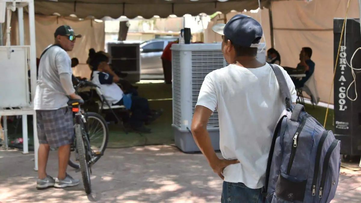 Cobra golpe de calor su primera vida en Baja California